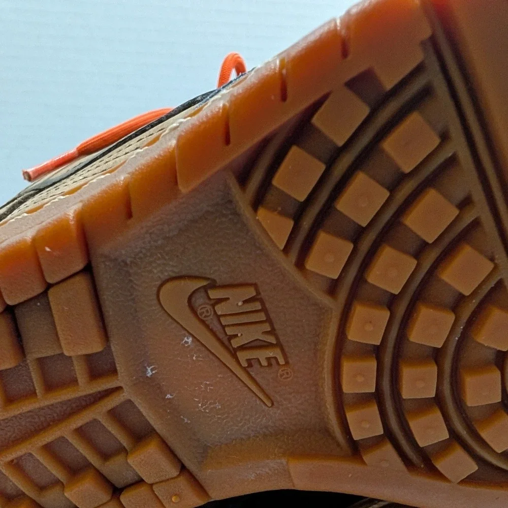 Nike dunk sky
